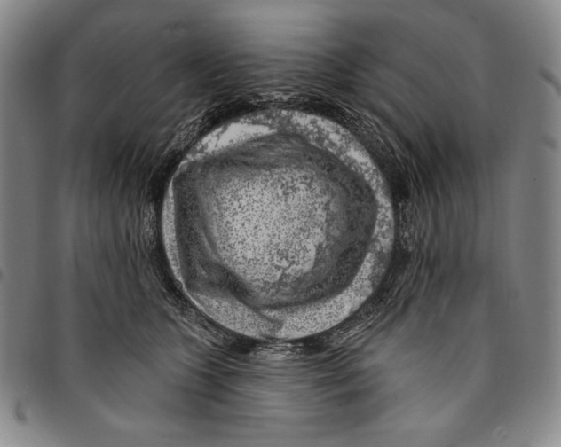 X0000094380563200711301403