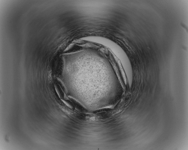 X0000094380564200711301403