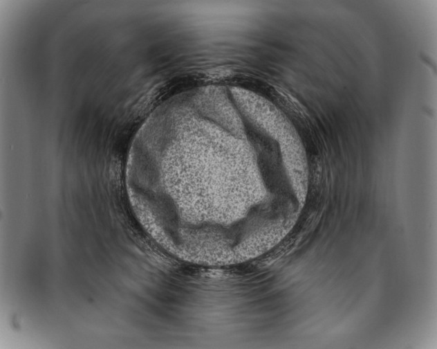 X0000094380565200711301403