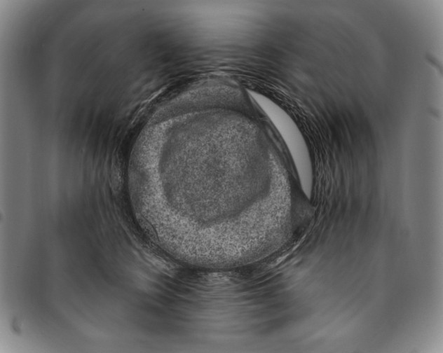 X0000094380566200711301403
