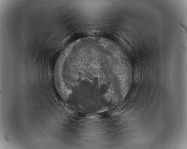 X0000094380569200711301403