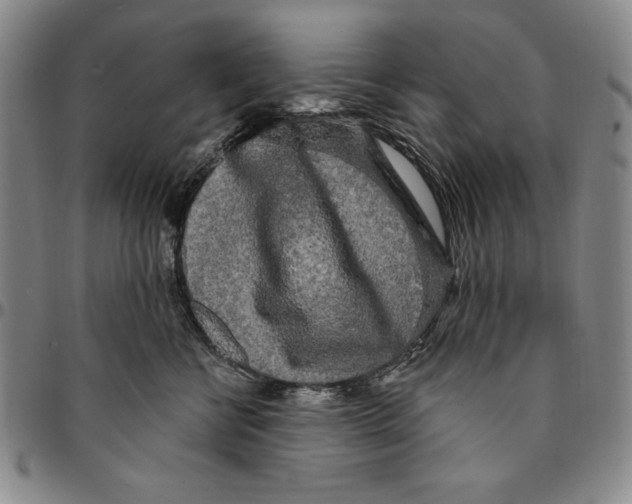 X0000094380570200711301403