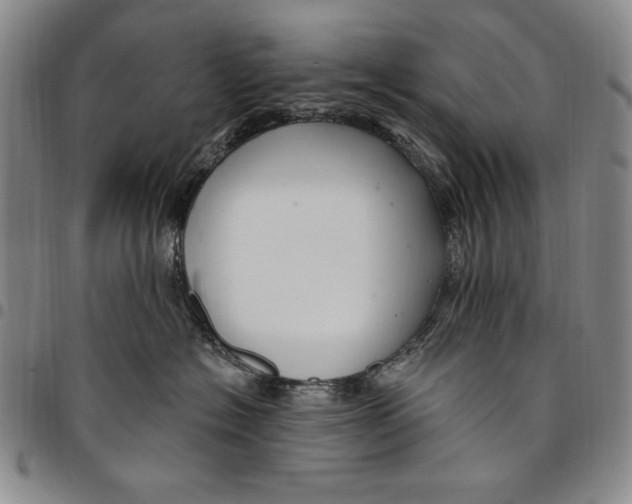 X0000094380574200711301403