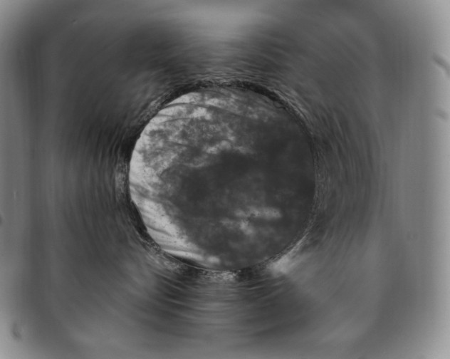 X0000094380576200711301403