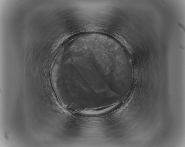 X0000094380577200711301402