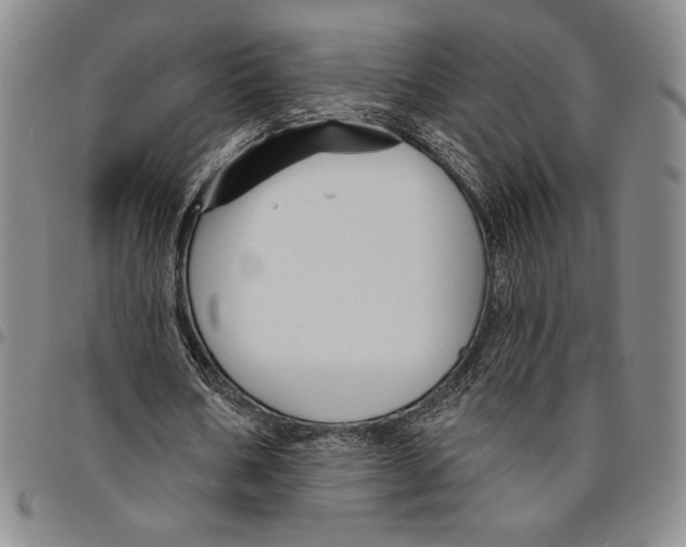 X0000094380578200711301402