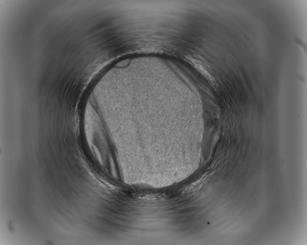 X0000094380584200711301402