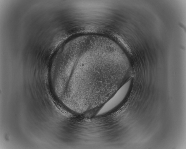 X0000094380588200711301402