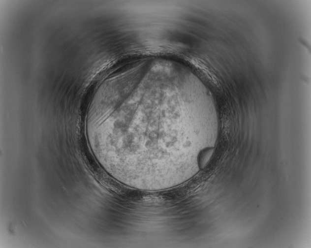 X0000094380591200711301402