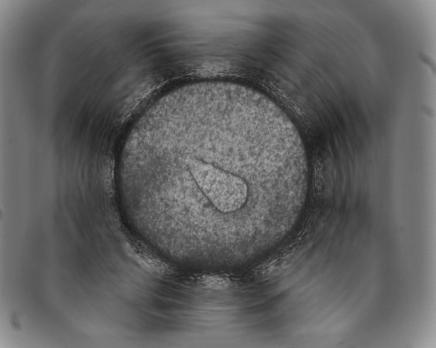 X0000094380592200711301402