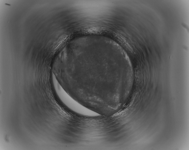 X0000094380593200711301402
