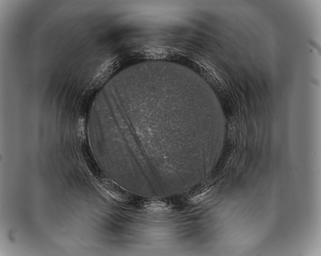 X0000094380598200711301402