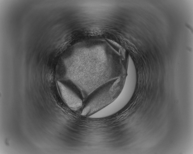 X0000094380608200711301402