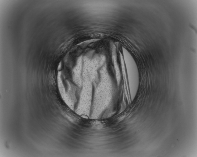 X0000094380616200711301402