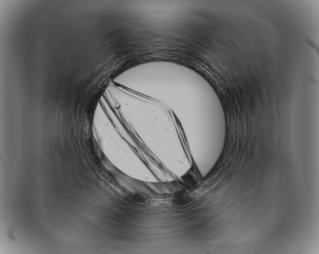 X0000094380617200711301402