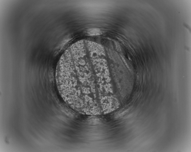 X0000094380620200711301402