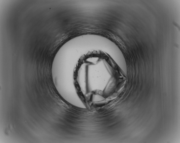 X0000094380621200711301402