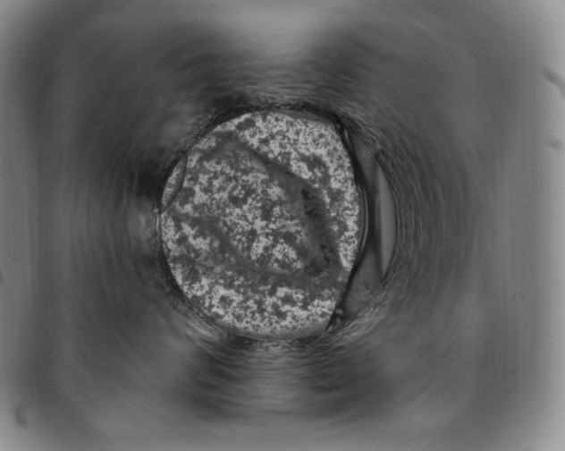 X0000094380624200711301402