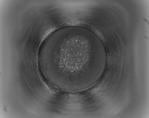X0000094380626200711301401