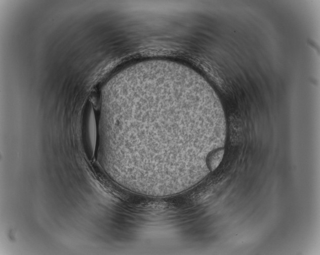 X0000094380631200711301401