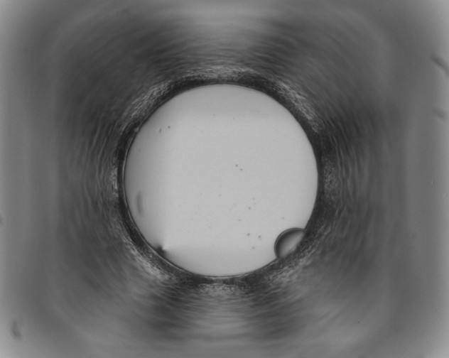 X0000094380633200711301401