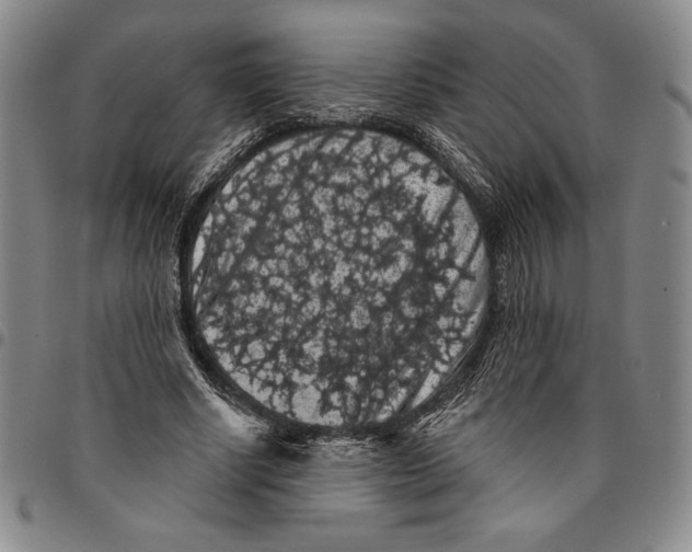 X0000094380634200711301401