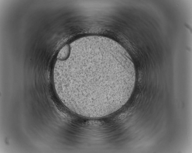 X0000094380636200711301401