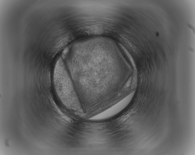 X0000094380638200711301401