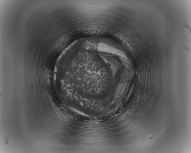X0000094380643200711301401