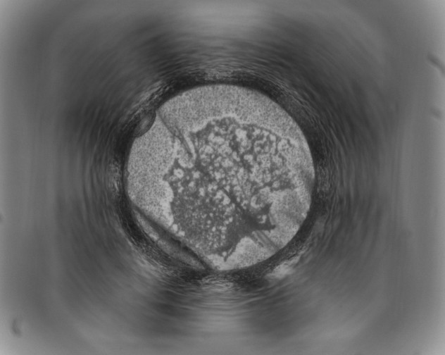 X0000094380648200711301401
