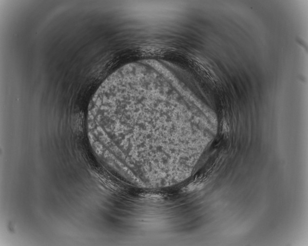 X0000094380649200711301401