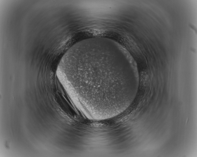 X0000094380650200711301401
