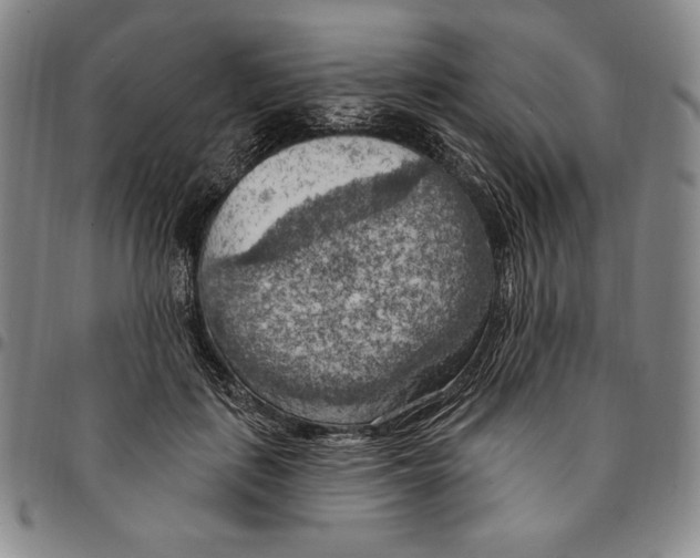 X0000094380651200711301401