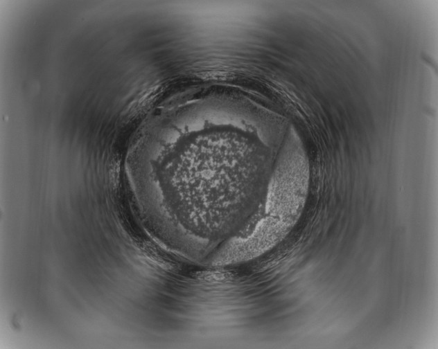 X0000094380652200711301401
