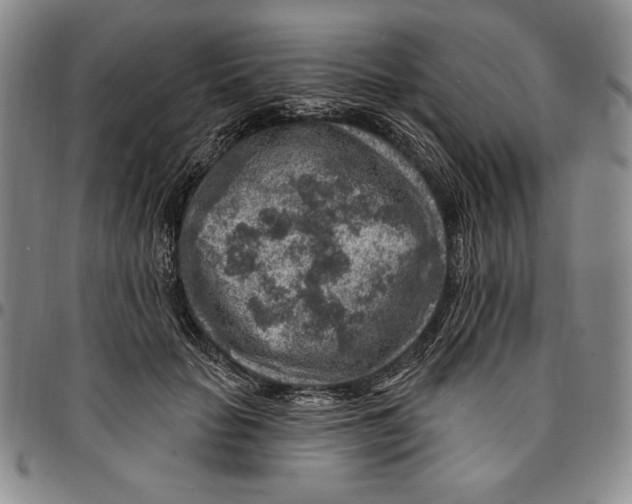 X0000094380653200711301401