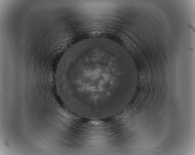 X0000094380654200711301401