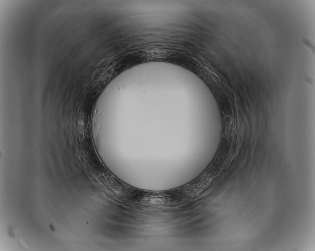 X0000094380655200711301401