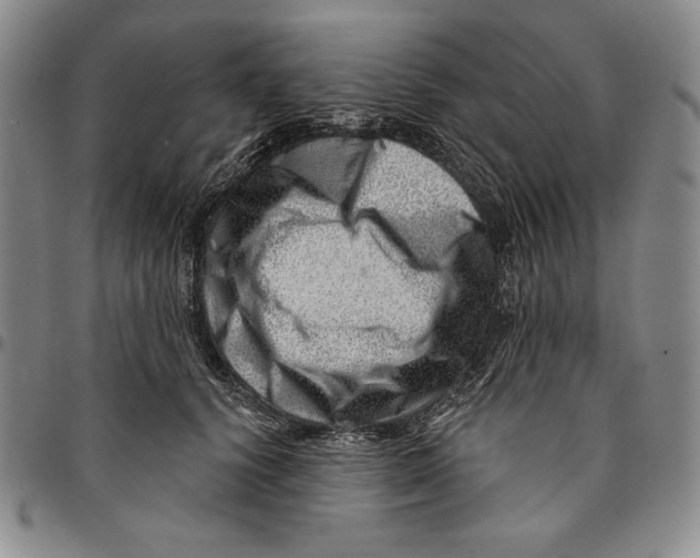 X0000094380656200711301401
