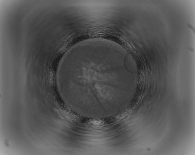 X0000094380659200711301401