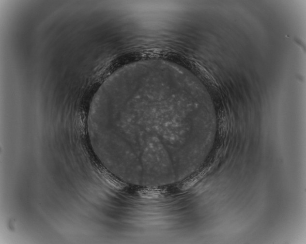 X0000094380661200711301401