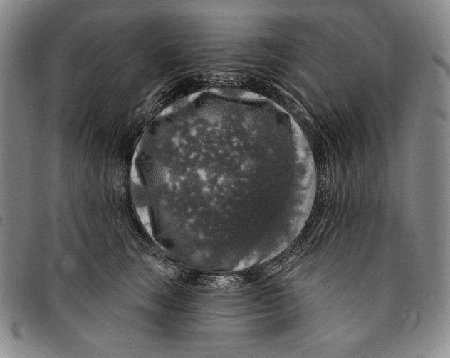 X0000094380663200711301401