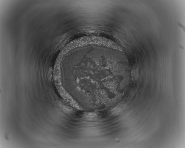 X0000094380671200711301402