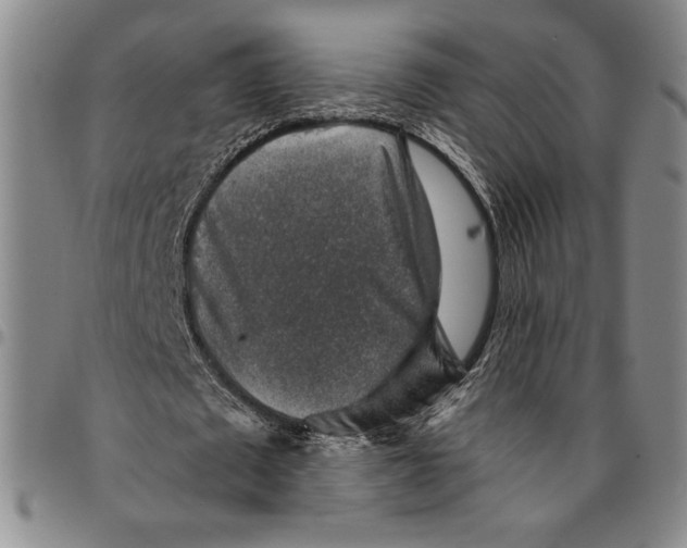 X0000094380673200711301401