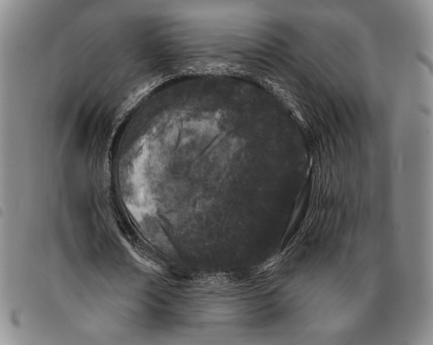 X0000094380674200711301401