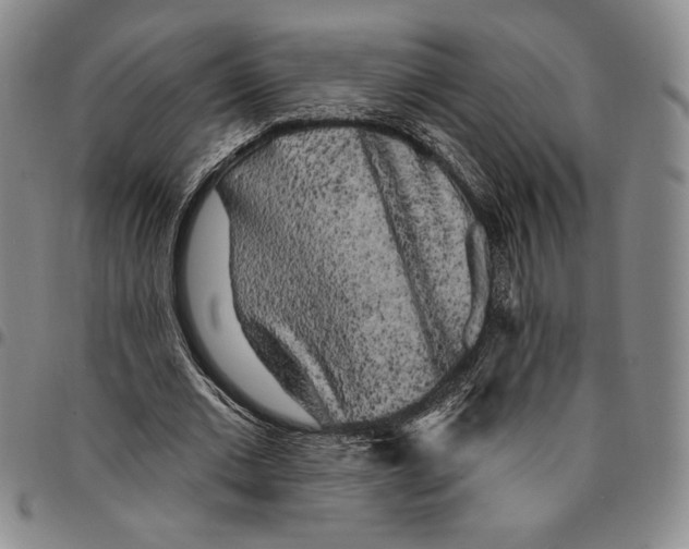 X0000094380677200711301401