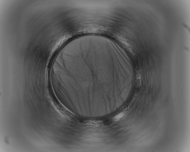 X0000094380678200711301401
