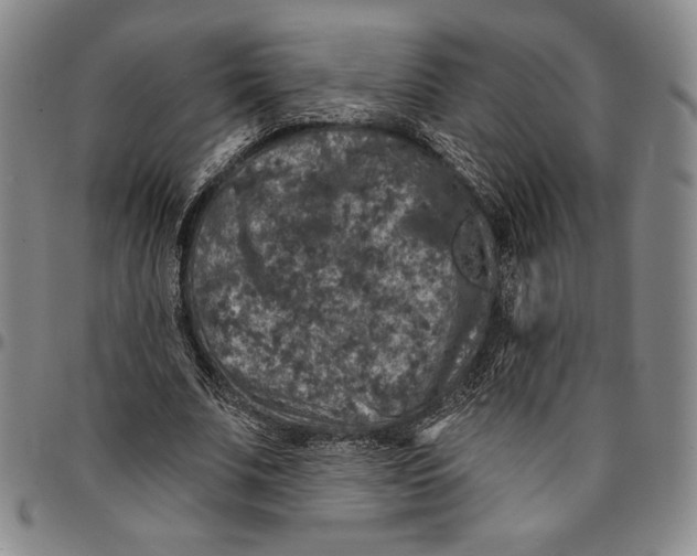 X0000094380679200711301401