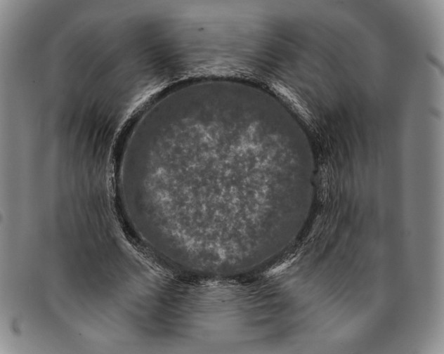 X0000094380680200711301401
