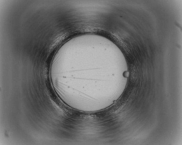 X0000094380683200711301401