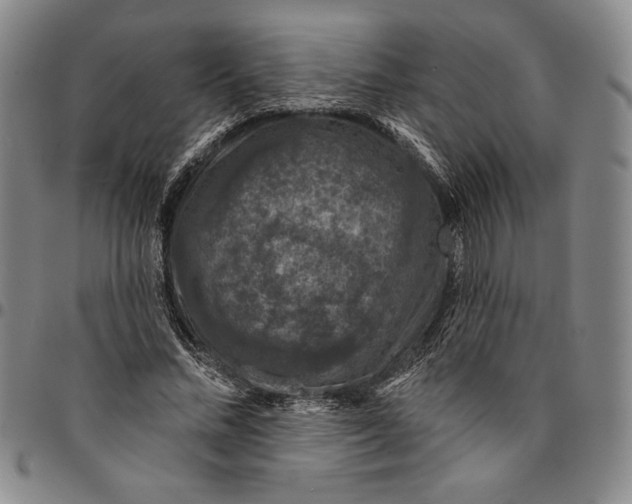 X0000094380684200711301401
